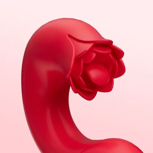 Tina Rotating Head G-spot Vibrator &amp; Clit Licker